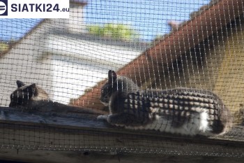 Siatki Warka - Siatka na balkony dla kota i zabezpieczenie dzieci dla terenów Warki